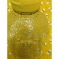 3lb Plastic Clear and Decorated Jug